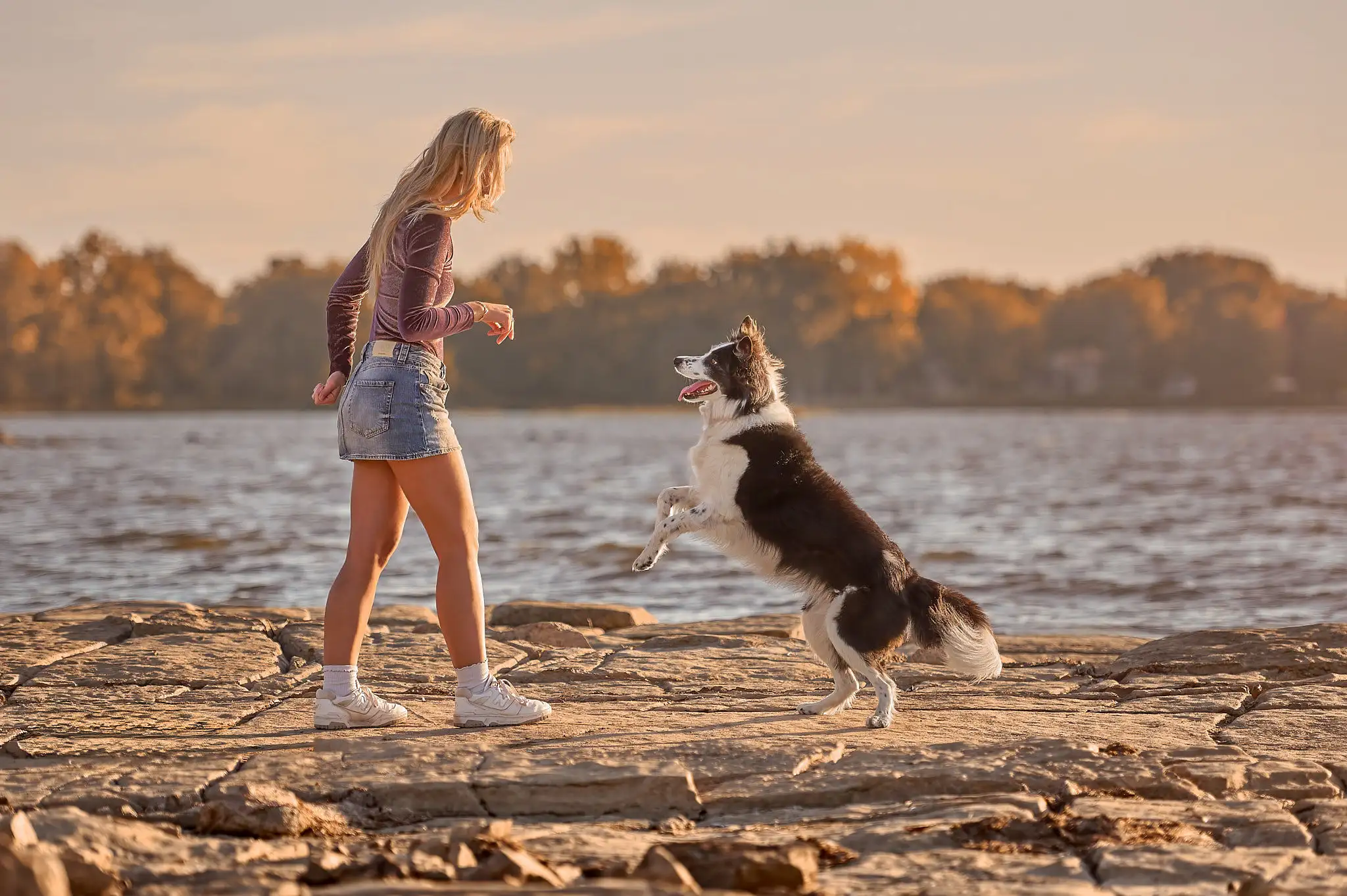 Femme entraînant son chien border collie au bord de l'eau, au coucher du soleil, en dressage positif basé sur le jeu.